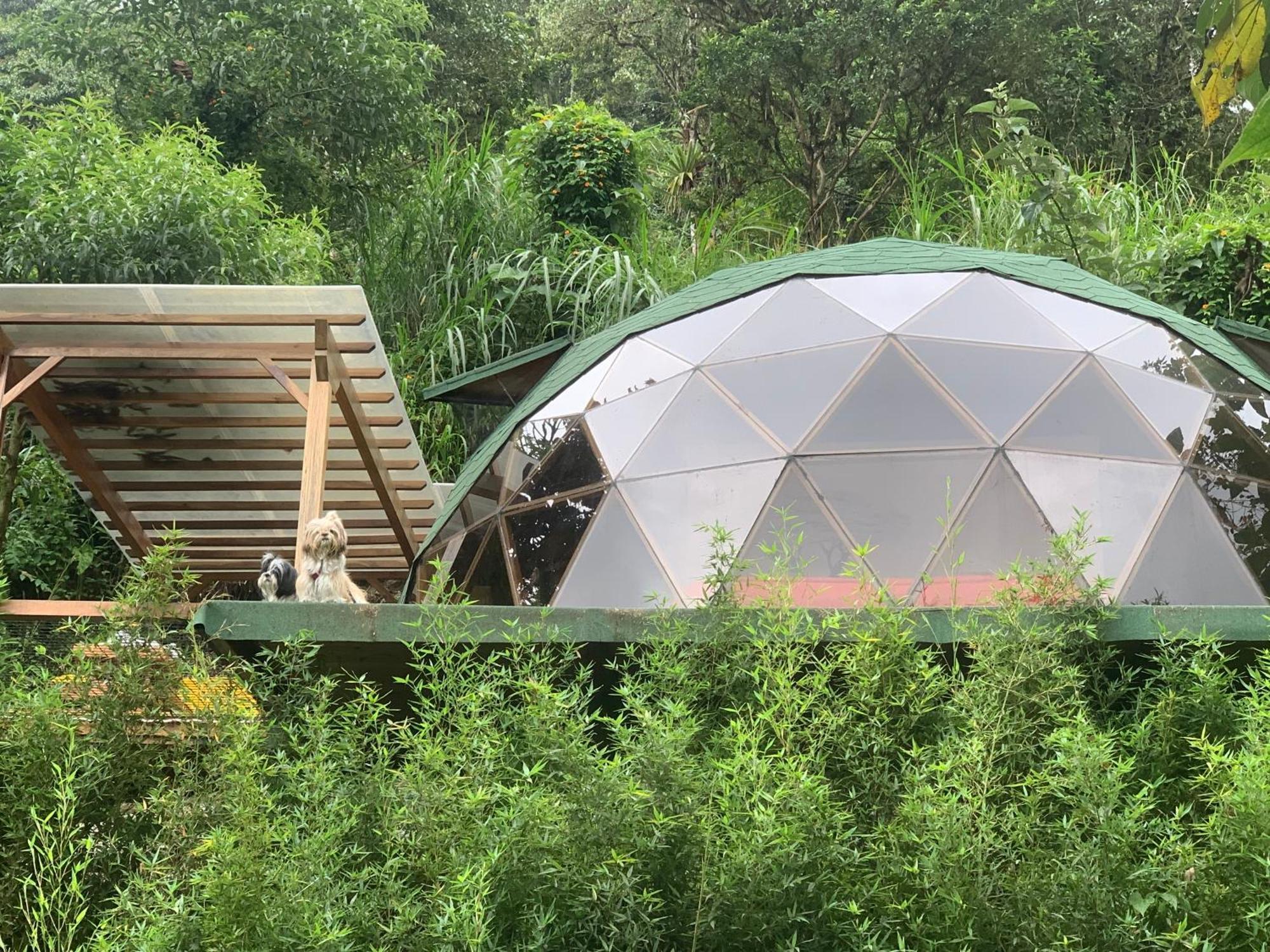 Magic Elf Glamping Apartment Mindo Bagian luar foto
